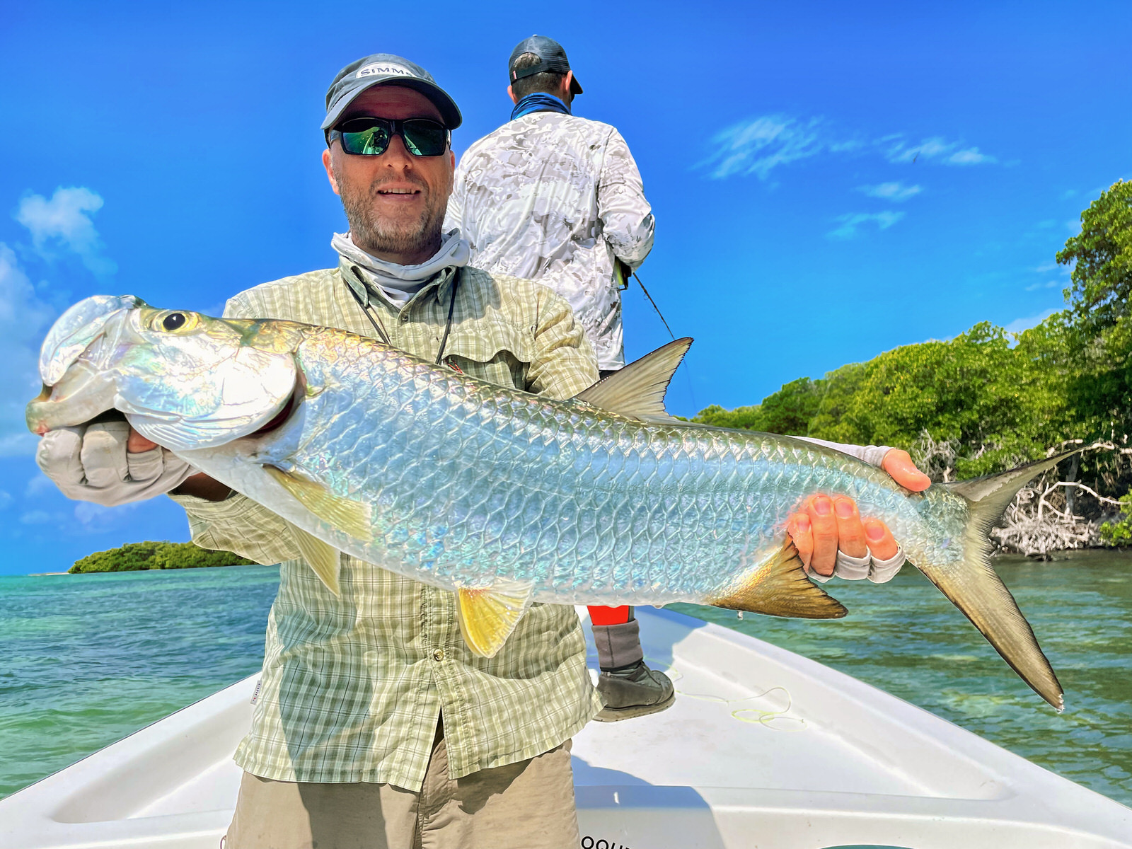 Gelandeter Baby-Tarpon auf Los Roques