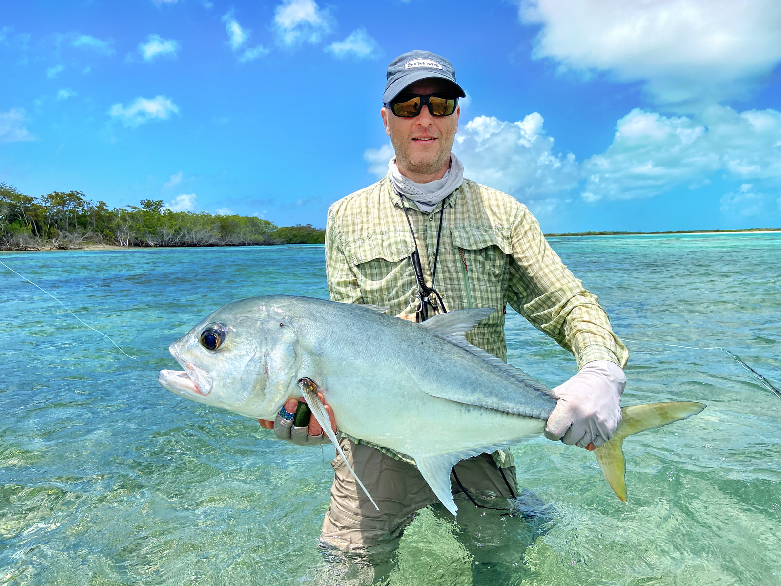 Großer Horse-Eye-Jack auf Los Roques