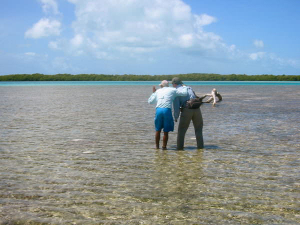 Pancake-Flat in Los Roques, Venezuela