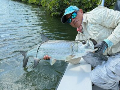 Kuba-Zapata-Bericht-Mai-2025-Tarpon-gross