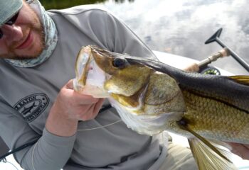 Reise-Florida-Everglades