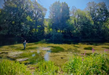 Slowenien-Forellensafari-Kundenbericht-Juli-2025-Tag5-2