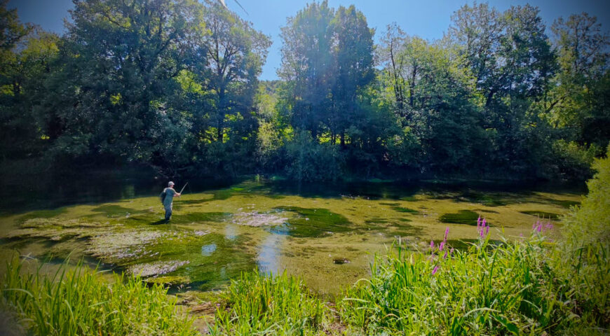 Slowenien-Forellensafari-Kundenbericht-Juli-2025-Tag5-2