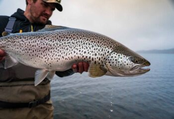 Thingvallavatn-Ice-Age-Trout-74