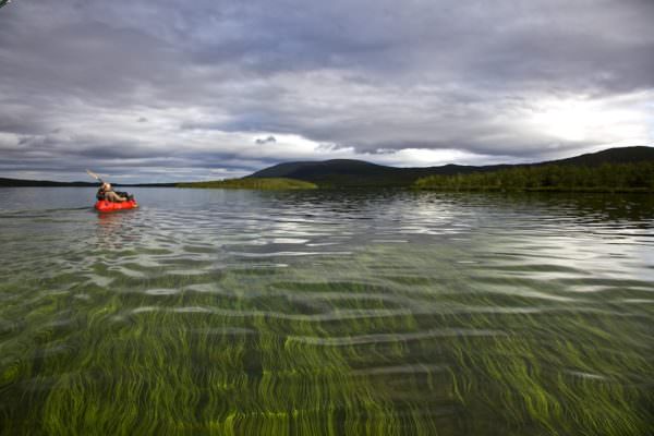 Floating Lappland